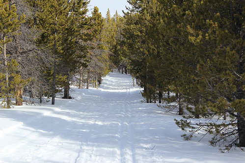 winter trail crosscountryskiing snowyrange medicinebownationalforest