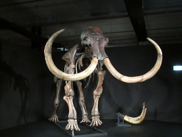 Amsterdam Expo - Giants of the Ice Age