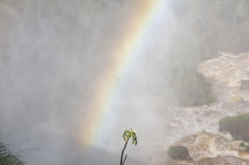 【写真】2015 世界一周 : イグアスの滝・アッパートレイル/2021-03-24/PICT7472