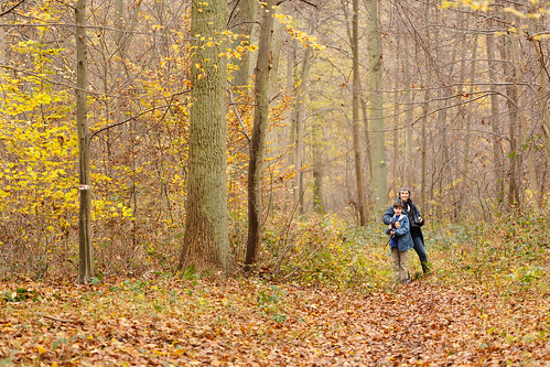 france fôretdechantilly levi rachel sigma150600mm excursion forest hike testing