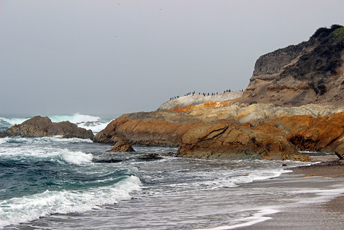 ocean california seascape cormorants waves montanadeoro