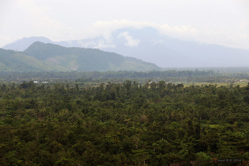 indonesia jungle papua forêt montagnes