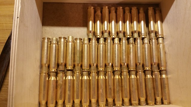 Cleaned .308 Brass Cases