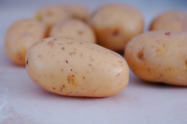 Yukon Gold potatoes by Eve Fox, The Garden of Eating, copyright 2015