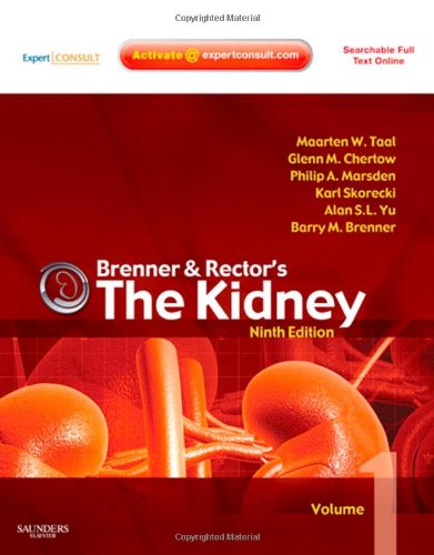 The kidney