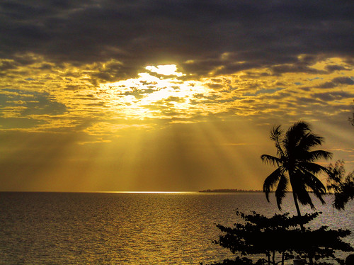 ocean sunset sky sun stone clouds palms tanzania golden town is tramonto nuvole indian cielo di zanzibar sole pietra palme archipelago indiano oceano città arcipelago mji platinumheartaward esinuhe69 mkongwe