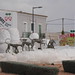 Ibiza - Skulptur: Offene Hand mit Hunden