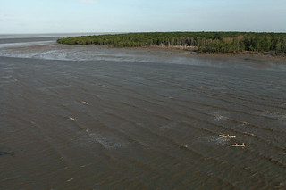 amazon delta