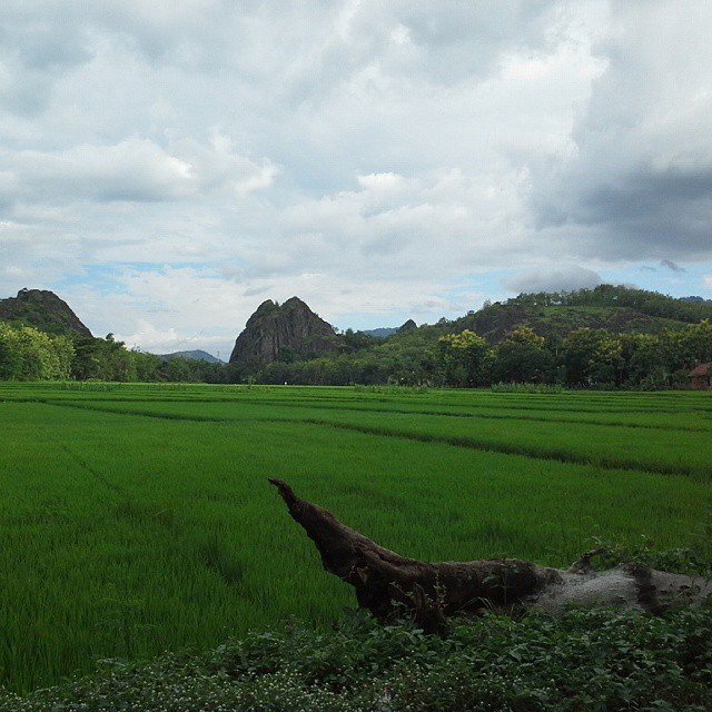 Elevation of Suroteleng, Selo, Boyolali Regency, Central