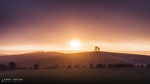 morning winter england sun nature weather sunrise countryside unitedkingdom sony wallingford wittenhamclumps southoxfordshire barrowhill a99 sonyalpha andyhough slta99v andyhoughphotography