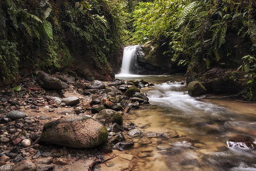 ecuador cascadachismosa parquenacionalpodocarpus waterfall cascata falls