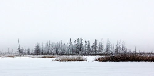 trees winter mist lake snow ice nature fog wisconsin landscape island frozen woods shoreline marsh icefog isle
