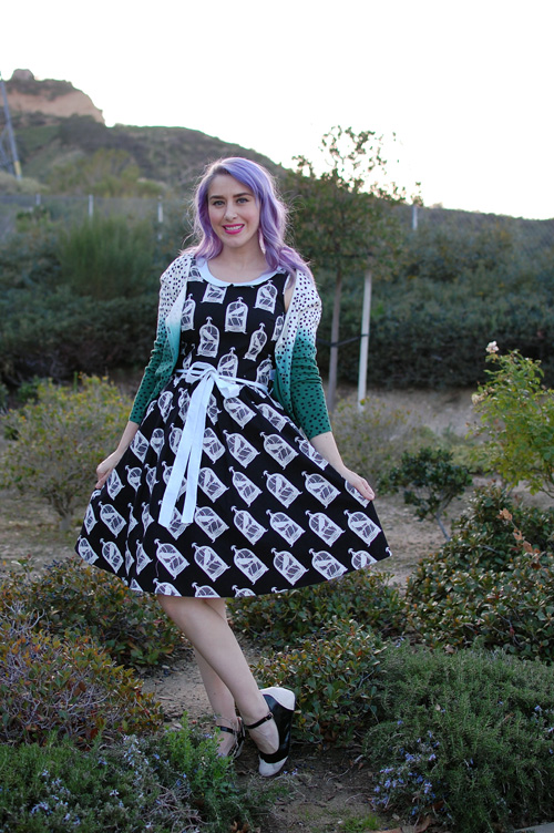 Modcloth All Eyes On Unique dress in Birdcage