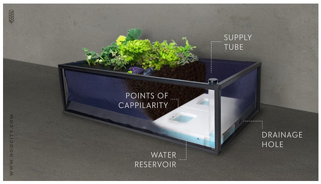 Noocity Growbed