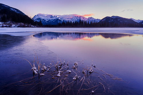 winter snow canada mountains clouds sunrise reflections reeds frost jasper alberta banff canadianrockies vermilionlakes