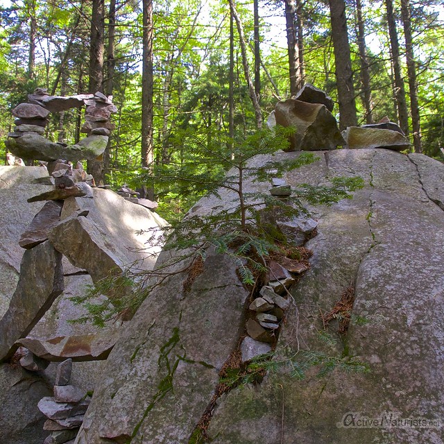 view 0001 Appalachian trail, Vermont, USA