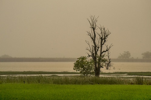 water overcast karnataka sunraise gajnurdam