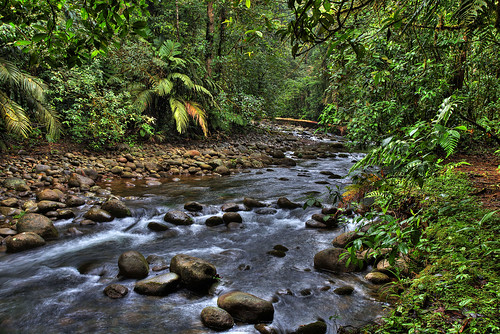 river rainforest costarica naturereserve brauliocarrillo eltapir