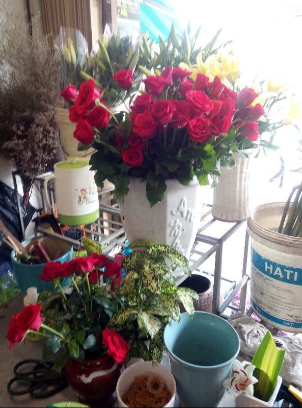 Hoa hồng nhung cắt cành Đà Lạt ở shop hoa của Sa Đéc