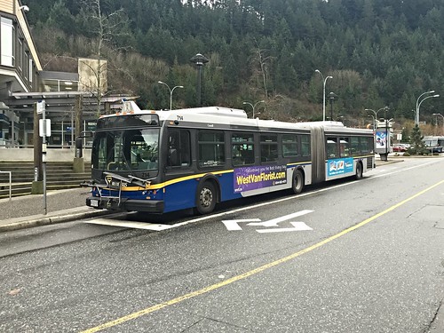 Articulated Blue Bus at Horseshoe Bay Ferry Terminal