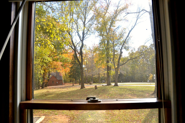 Cabin 2 main bedroom view of the trees and leaves outside - you can see the distance to the next cabin 1 at Staunton River State Park