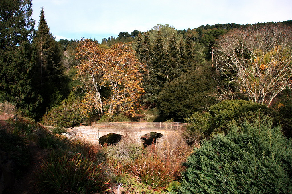 Regional Park Botanic Garden A Bridge Over The Beginnings Flickr