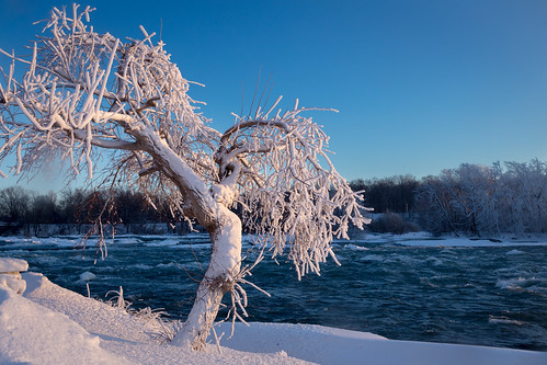 park travel blue trees winter light sunset wallpaper orange usa white snow newyork texture ice nature water weather river landscape niagarafalls evening frozen day niagara clear february artisitic nicelight canonef24105mmf4lisusm 3exp canon6d