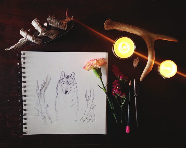 paper wolves.