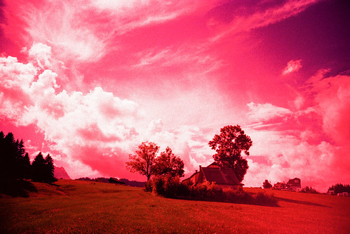trees sky cloud tree film clouds analog 35mm schweiz lomo lca xpro lomography scenery view cross himmel x 64 processing vista pro tungsten process expired processed baum appenzell moning appenzellerland markusmoning appenzellinnerrhoden gontenbad