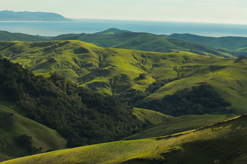 california color green canon landscape centralcoast slocounty