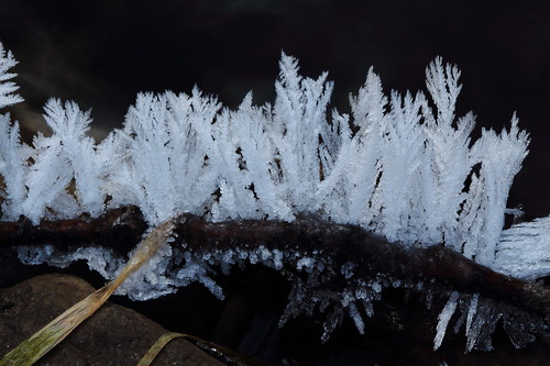 winter ice nature hoarfrost washingtonstate oakcreek naches yakimacounty oakcreekwildlifearea