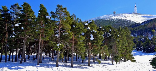 winter sky panorama snow france colors forest french photography photo europa europe flickr shot image pentax couleurs photographers panoramic explore ciel arbres neige provence capture vue forêt montagnes montventoux