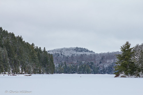 park trees white lake snow ontario canada pine frozen cloudy canadian evergreen algonquin shield cache provincial