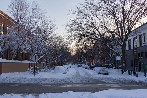 trees winter snow cars silhouette trapped snowstorm tracks sidestreet 2015 privpublic winterstormlinus