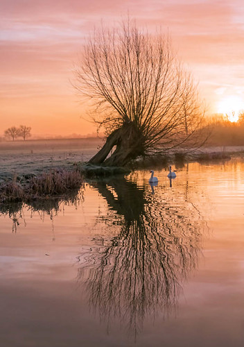 winter light sunrise reflections landscape dawn mood sony swans warwickshire alcester kinwarton a6000 jactoll