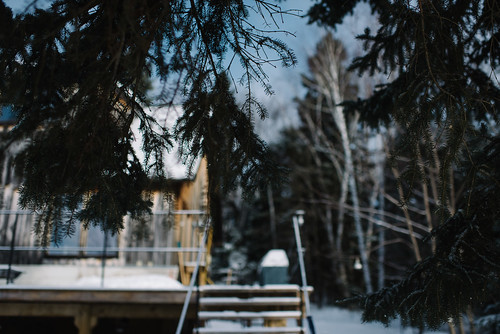 winter muskoka canadianwinter cabinlife