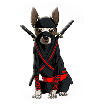 Could Your Pooch be a PiCKUP Ninja? #chocninja