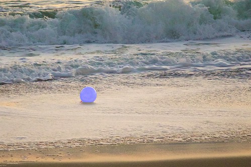ocean beach birds sunrise dawn surf florida balloon indialantic