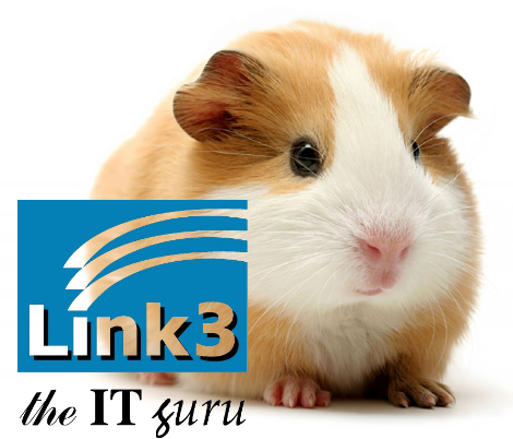 Link3, The IT Guru!