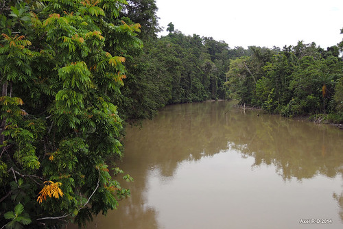 indonesia rivière papua skouw