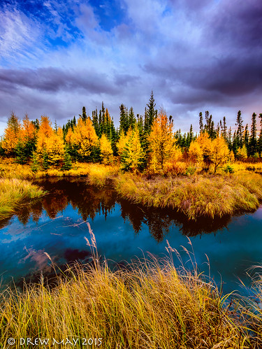 county autumn trees sunset canada storm water weather clouds river landscape photography big swan lakes may drew hills alberta tamarack morse drewmayphoto
