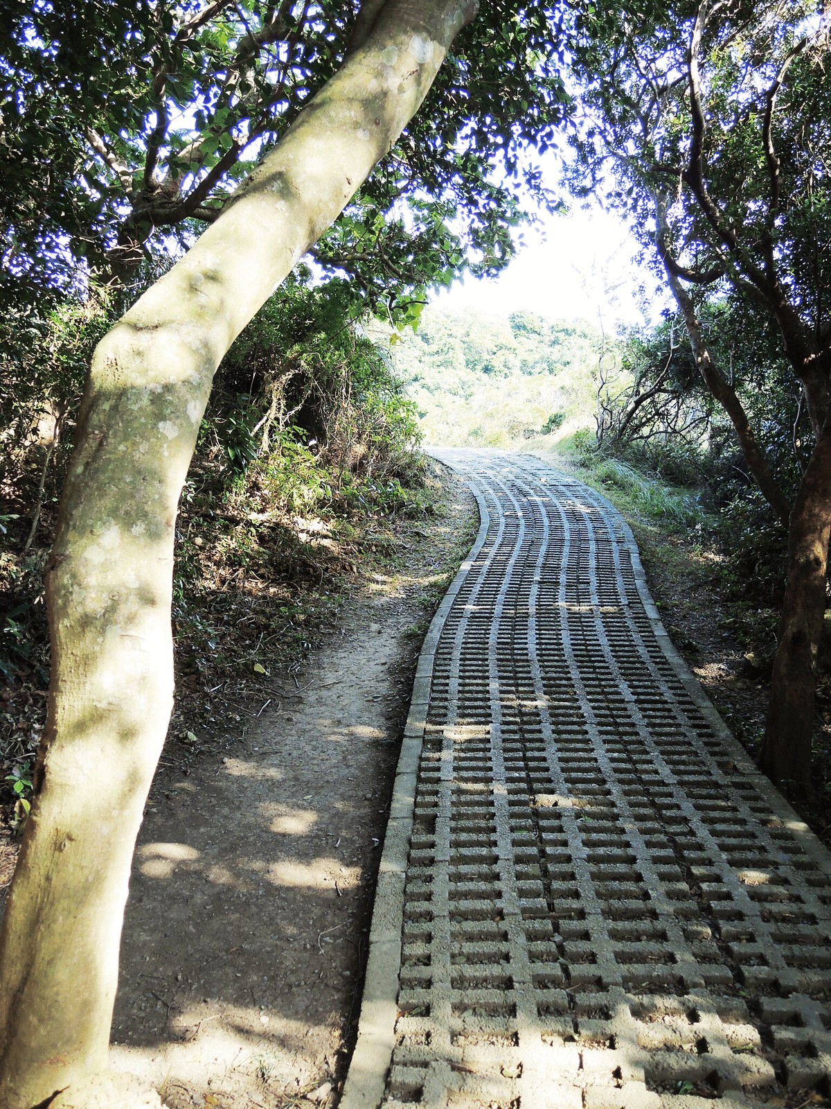 Hiking trail