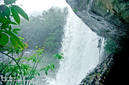 trees mountain nature water forest river waterfall nikon rocks sri lanka jungle srilanka ceylon flowing d90 shehan matale kunckles peruma seraella shehanperuma seraalla