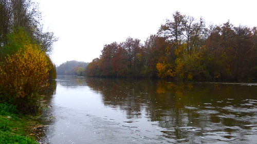 en france nature automne river berry eau couleurs centre rivière arbres le cher paysage saintflorentsurcher vanaspati1