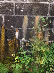 Lock wall - Photo of Lescouët-Gouarec