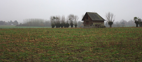 misty landscape normandie landschaft nebelig ruralbuildings giverville landwirtschaftlichegebäude