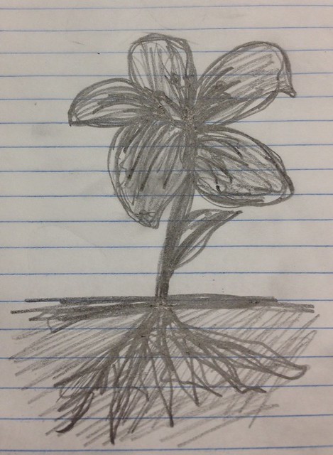 Droodle Flower
