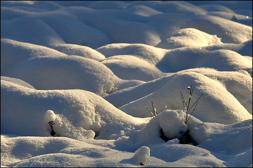 winter white snow nature landscape nikon hiver neige paysage tamron blanc d90 sp70300f456divcusd