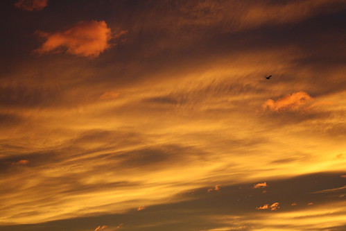 new sky sunrise south scenic canterbury zealand timaru