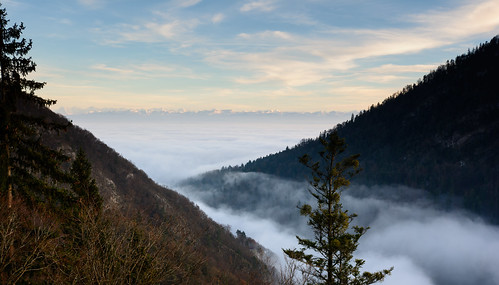 mist fog automne river season switzerland suisse gorges brouillard neuchâtel brume saison rochefort